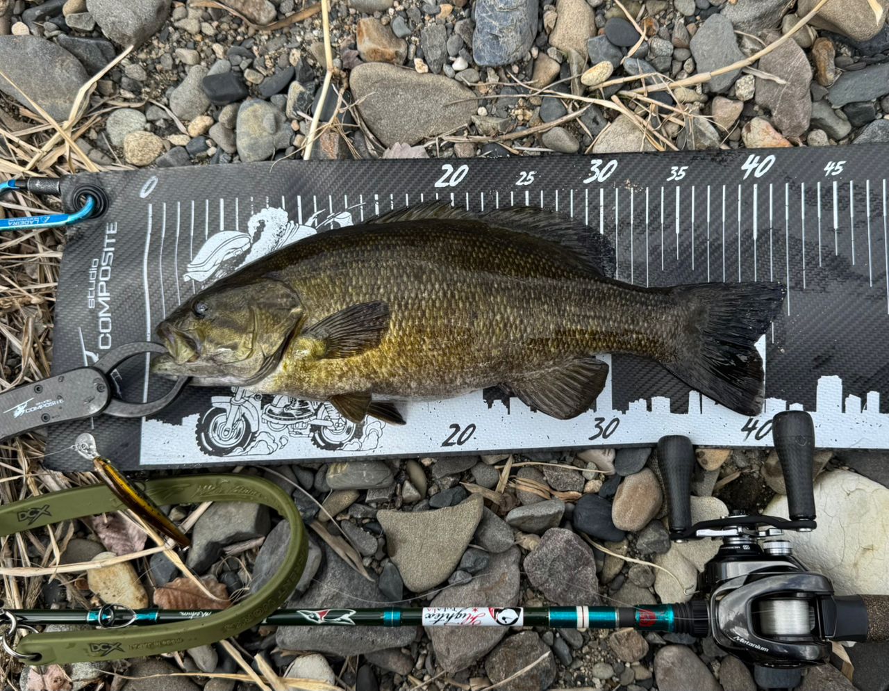 スモールマウスバス