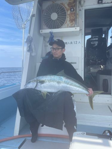ヒラスの釣果