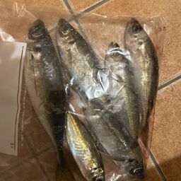 アジ