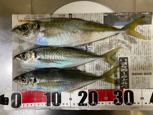 アジ