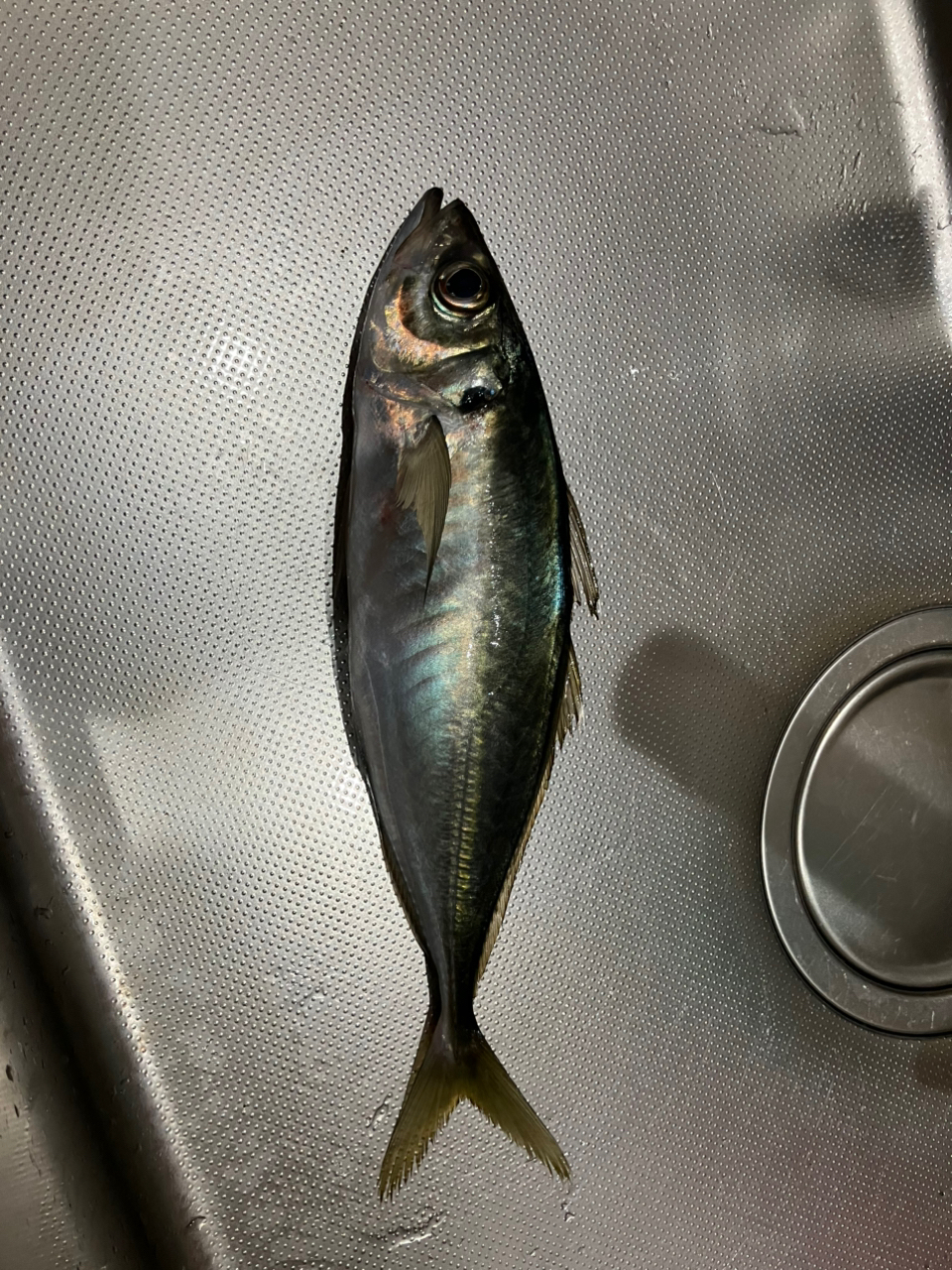 DAIWA 15リバティクラブ 磯風 3号-45遠投・Kの最安値・インプレ