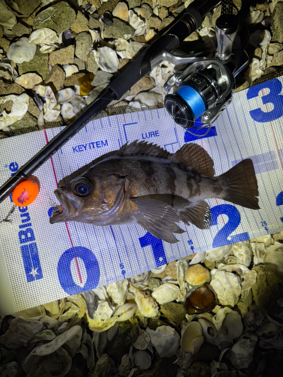 SHIMANO 22ハードロッカー SS S83ML+の最安値・インプレ・釣果
