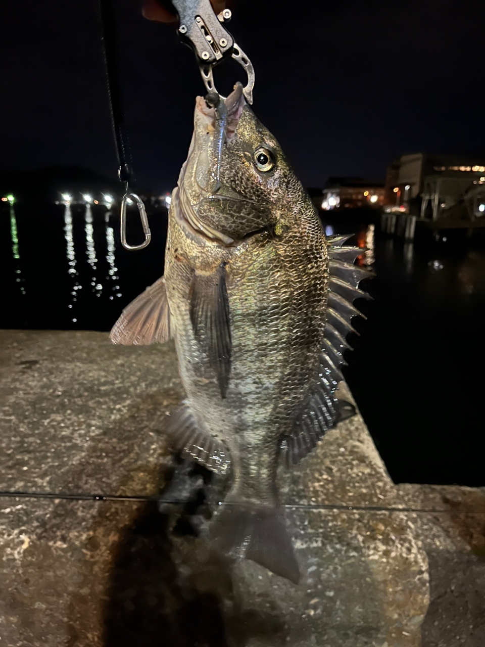 DAIWA 23PR100 100Hの最安値・インプレ・釣果 | 本音の口コミが