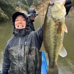 ラージマウスバス