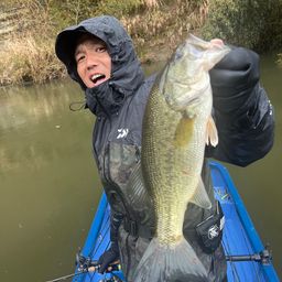 ラージマウスバス