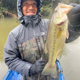 ラージマウスバス