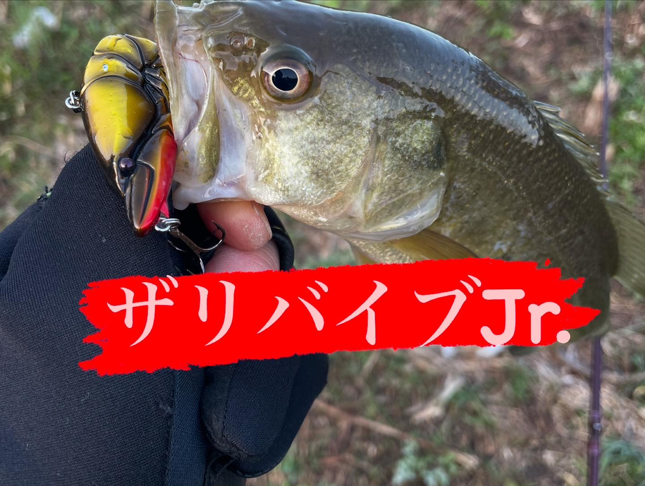 DAIWA 14ハートランド AGS 741MHRB-SV AGS17の最安値・インプレ