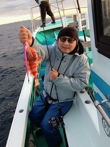 ユメカサゴの釣果