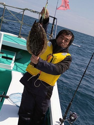 ヒラメの釣果