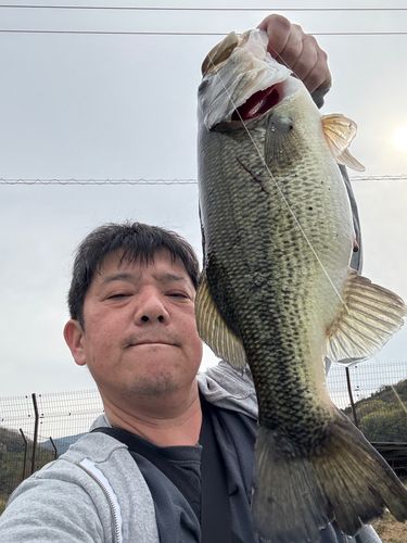ラージマウスバスの釣果