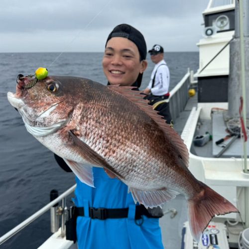 マダイの釣果