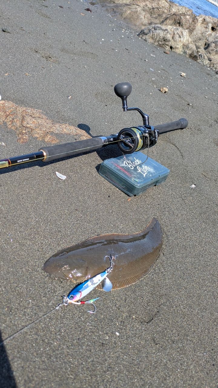 クロウシノシタ