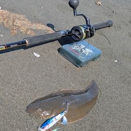 クロウシノシタ