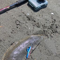 クロウシノシタ