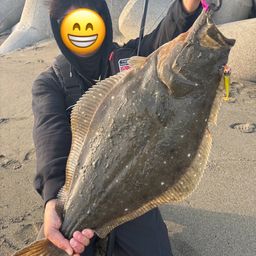 ヒラメ