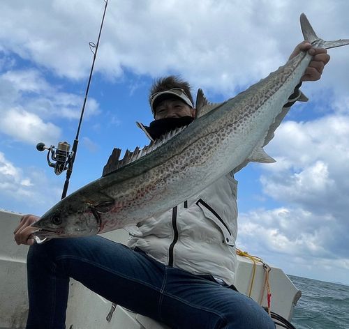 博多湾の釣果・釣り場情報【2025年最新】 - アングラーズ | 釣果600万