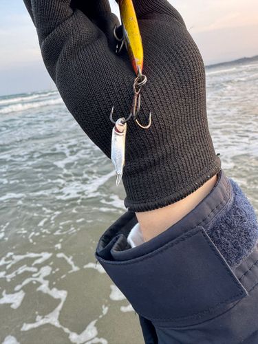 釣果