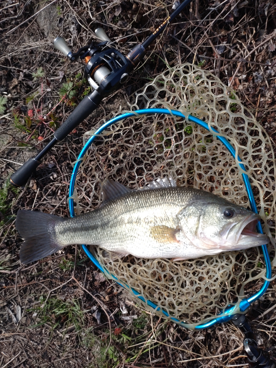 DAIWA 20リベリオン（センターカット2ピース スピニングモデル