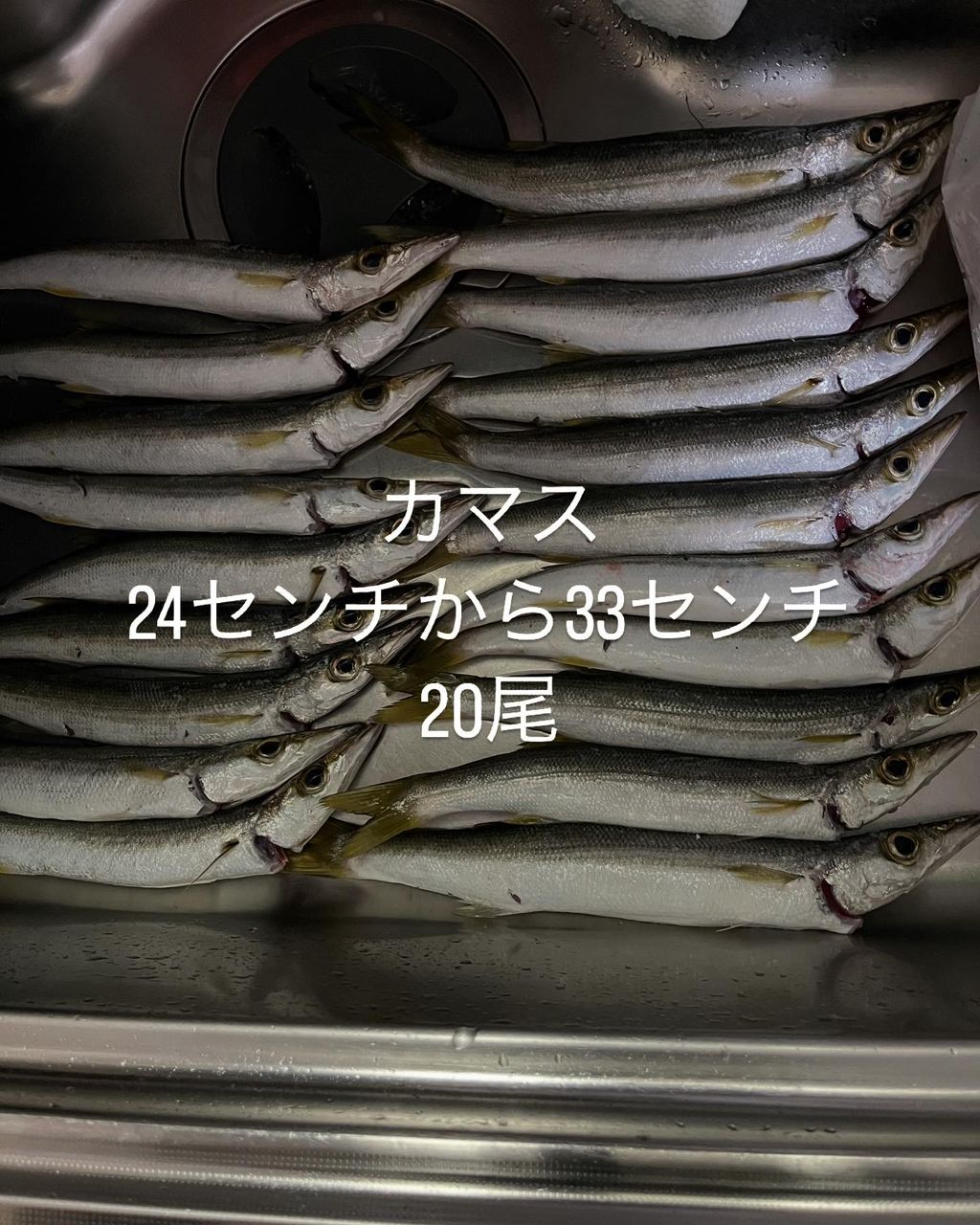 カマス