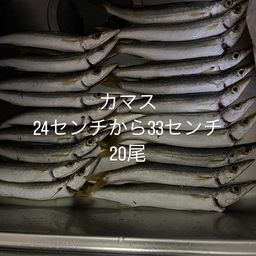 カマス
