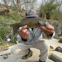 スモールマウスバス