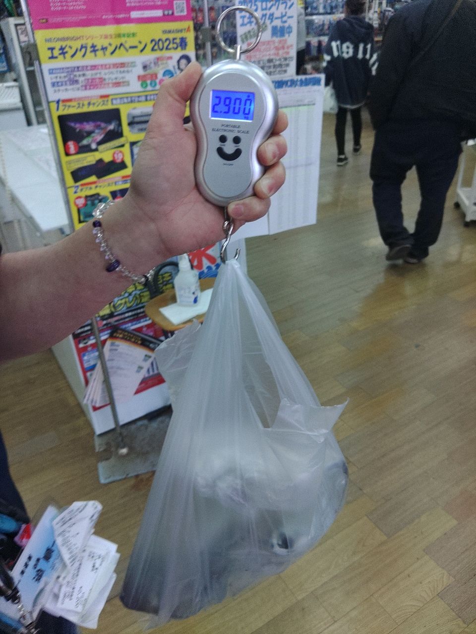 アオリイカ