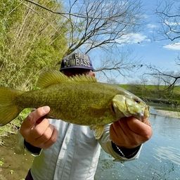 スモールマウスバス