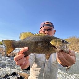 スモールマウスバス