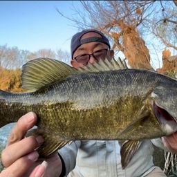 スモールマウスバス