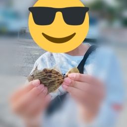 カワハギ