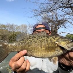 スモールマウスバス