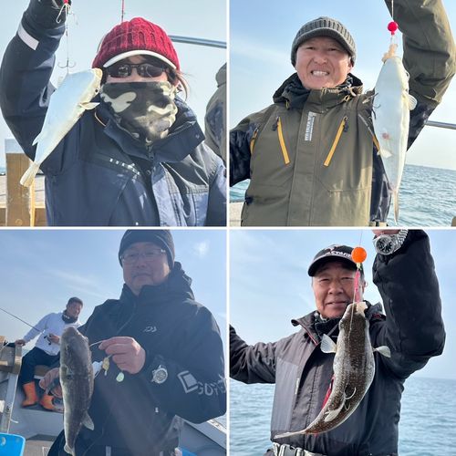 ショウサイフグの釣果