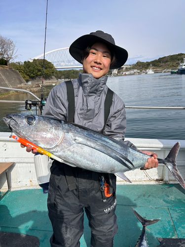ビンチョウマグロの釣果