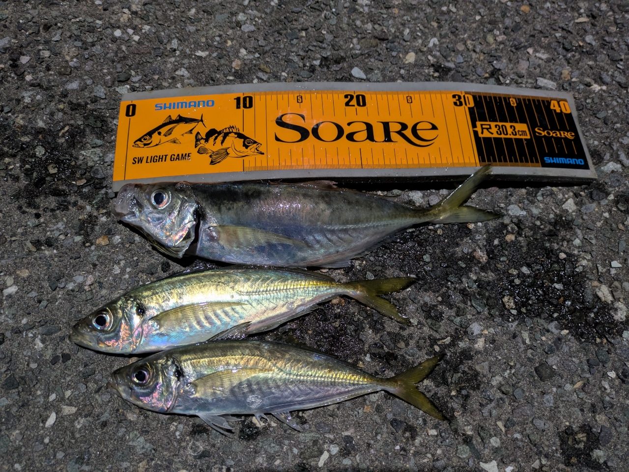 SHIMANO 19ソアレ BB アジング S610L-Sの最安値・インプレ・釣果