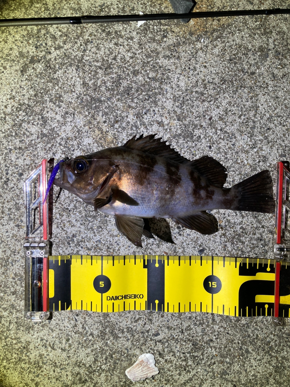 AbuGarcia ソルティースタイルメバル STMS-802LT-KRの最安値
