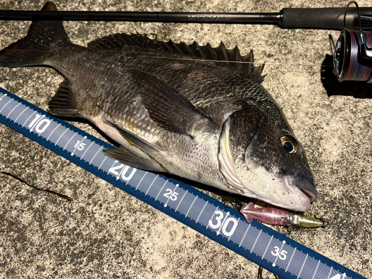 シマノ(SHIMANO) 23 ディアルーナ S76ML(スピニング・2ピース