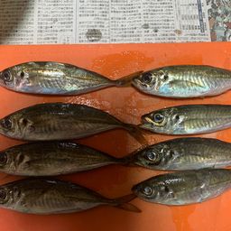 アジ