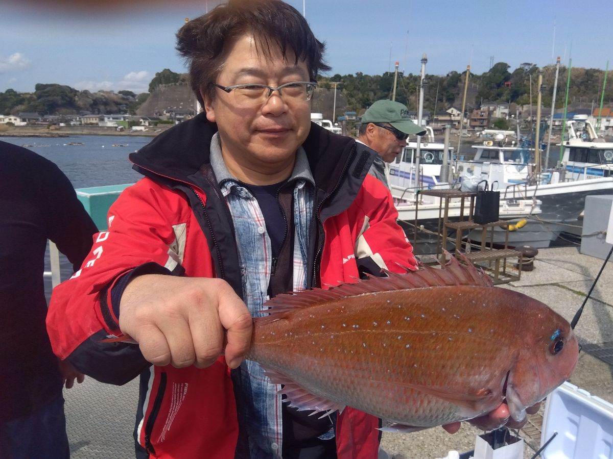 せどおと丸さんの釣果 2枚目の画像