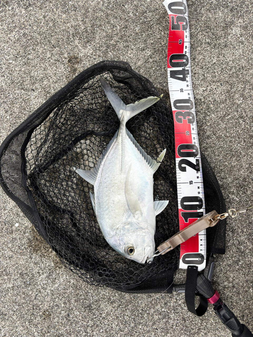 SHIMANO 23ルアーマチック (バス推奨モデル) S66Lの最安値