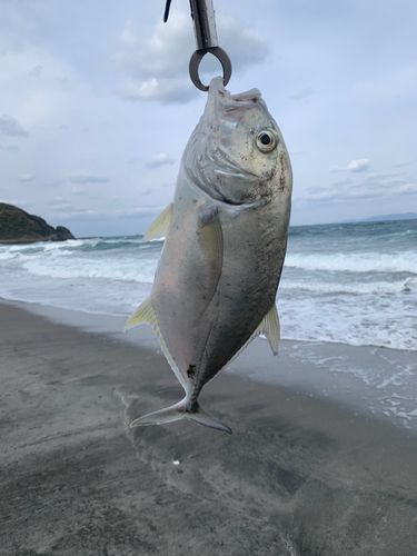 メッキ