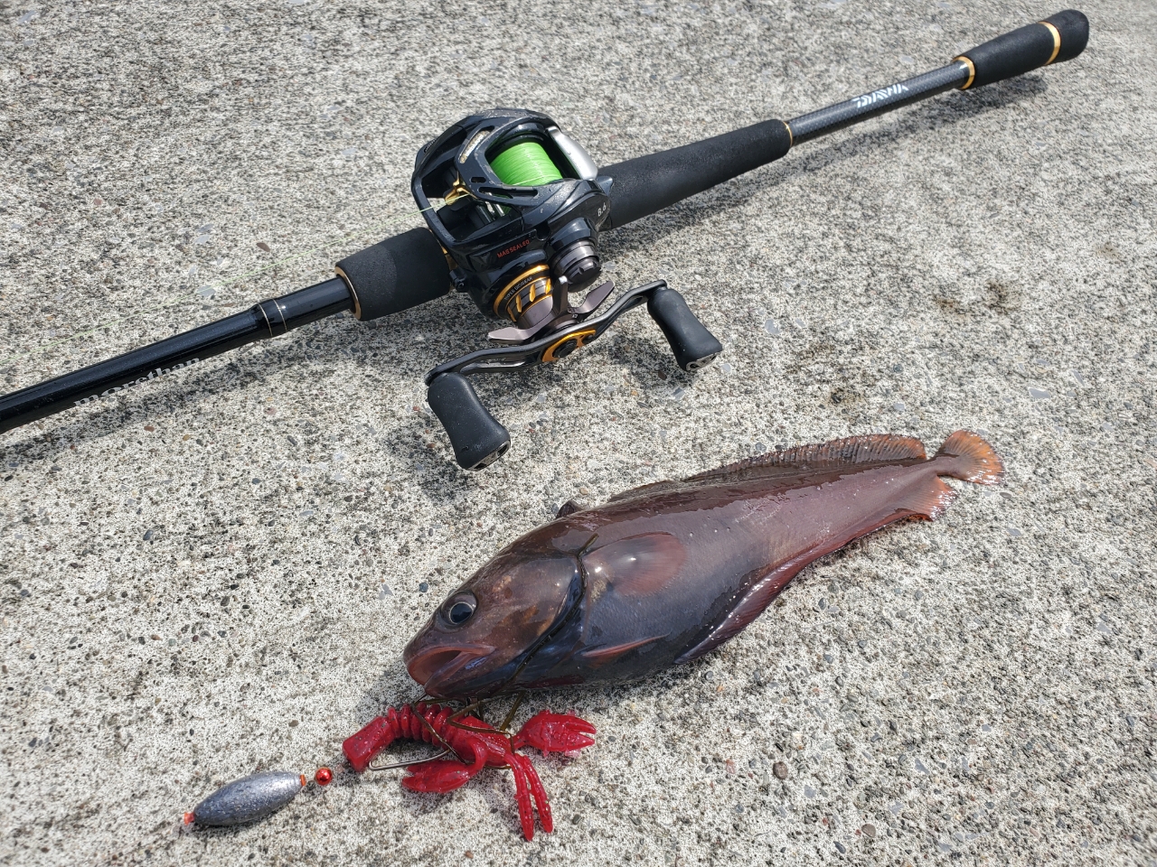 DAIWA 18モアザン PE TW 1000XHL-TWの最安値・インプレ・釣果
