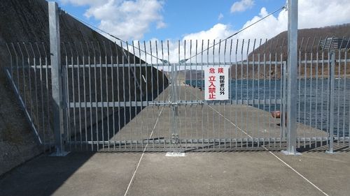 カレイの釣果