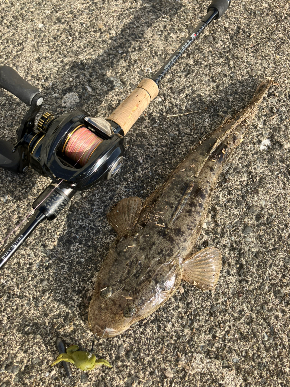 AbuGarcia エラディケーター ベイトフィネス EBTC-70LT-STの最
