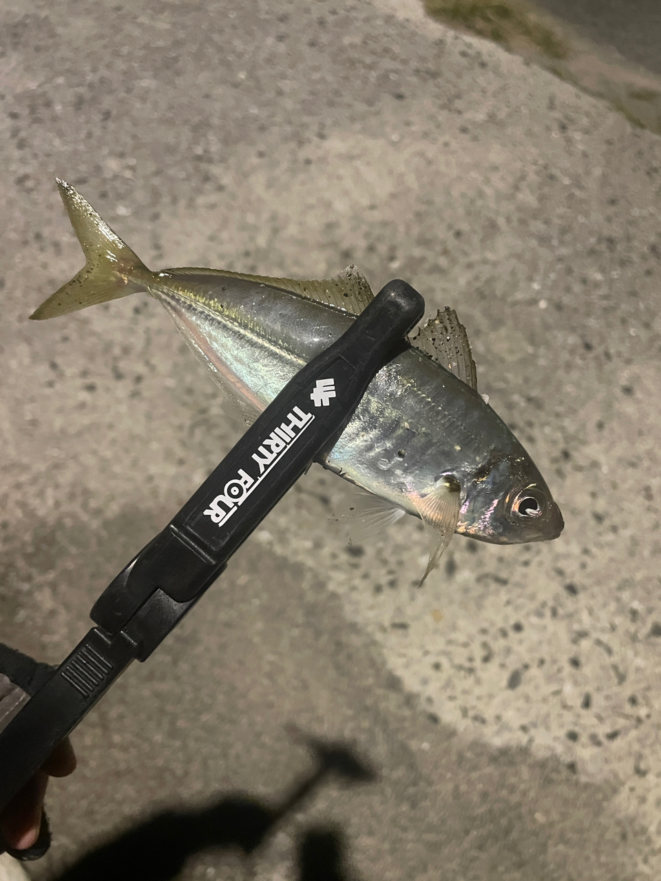 SHIMANO 18ステラ 1000SSSPGの最安値・インプレ・釣果 | 本音の SHIMANO 18ステラ 1000SSSPGの最安値・インプレ・釣果 | 本音の