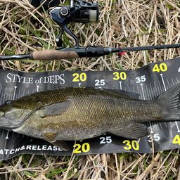 スモールマウスバス