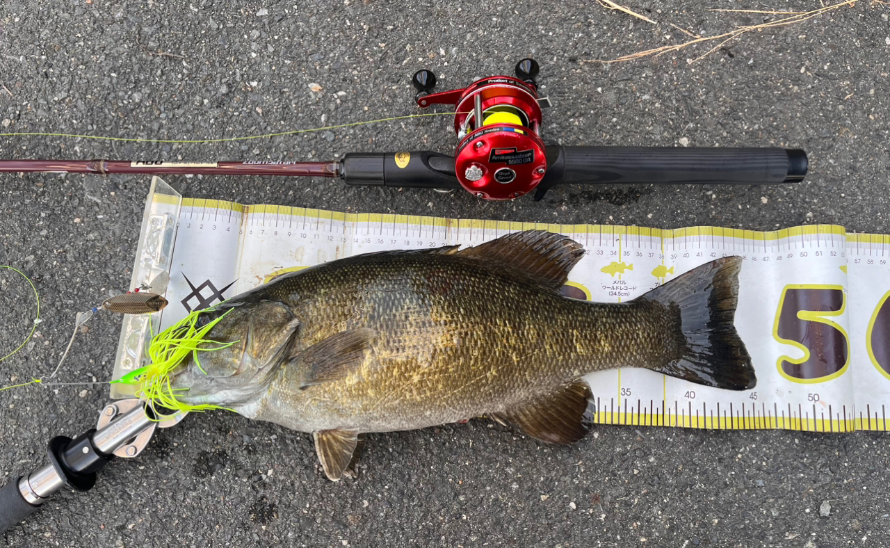AbuGarcia ズームサファリ ZMSC-665Mの最安値・インプレ・釣果