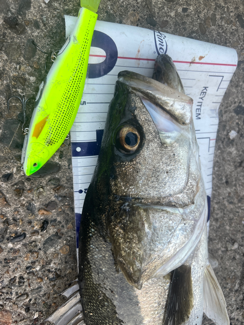 SHIMANO 18ディアルーナ B76MHの最安値・インプレ・釣果 | 本音