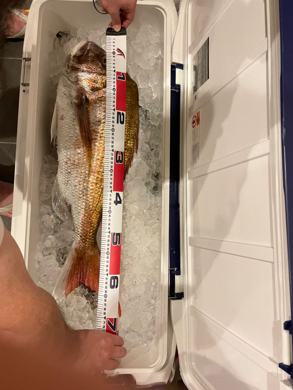 たむこさんの釣果 2枚目の画像