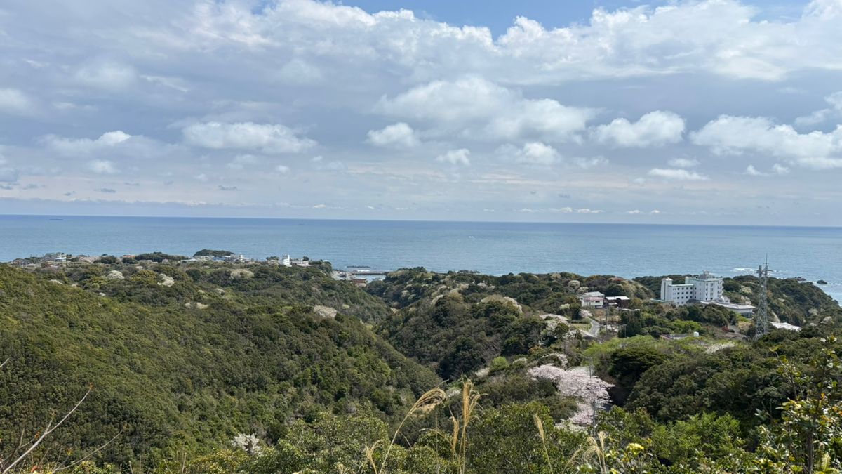 釣り好き♡猫好き♡さんの釣果 2枚目の画像