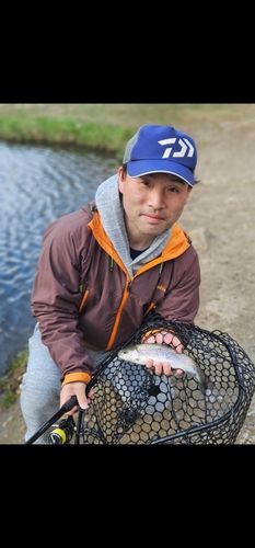 ロックトラウトの釣果